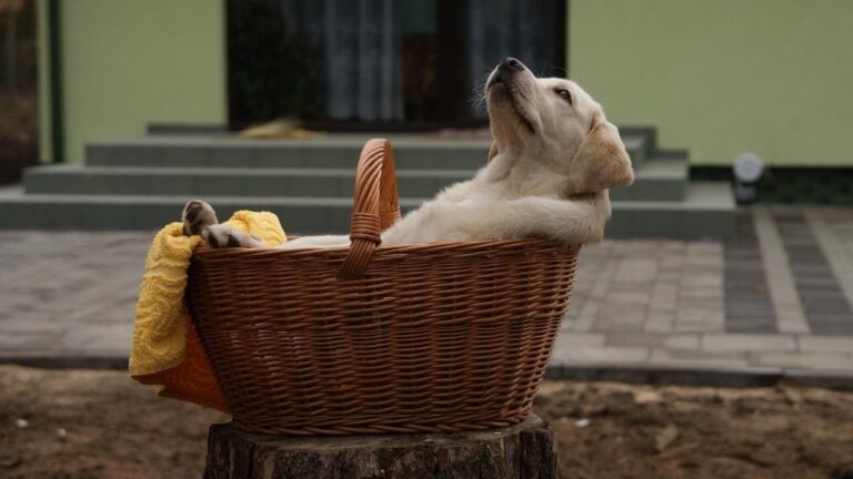 3 Reasons Inbound Marketing Decreases Business Stress During Uncertain Times