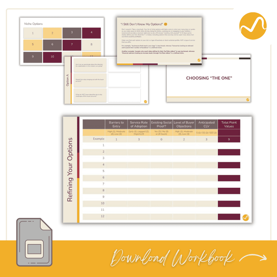 Niche Comparison Workbook Preview