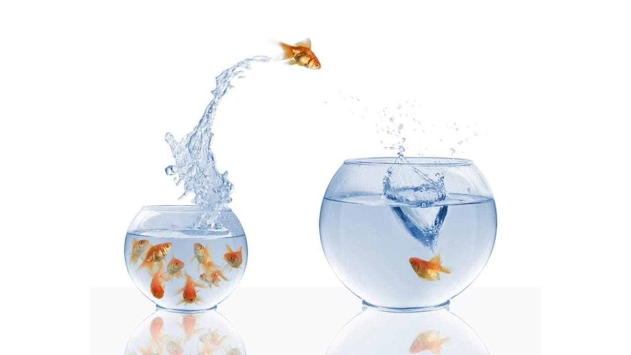 [HOW TO] The Anatomy of a High Converting LANDING PAGE