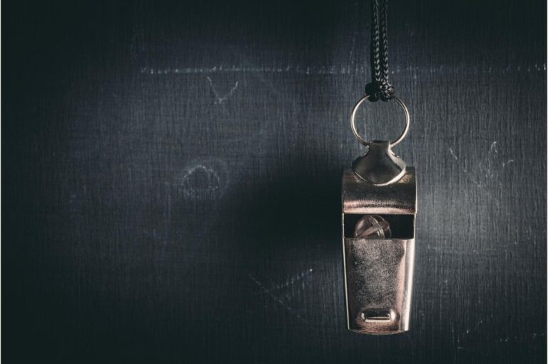 What is the difference between a consultant and a coach