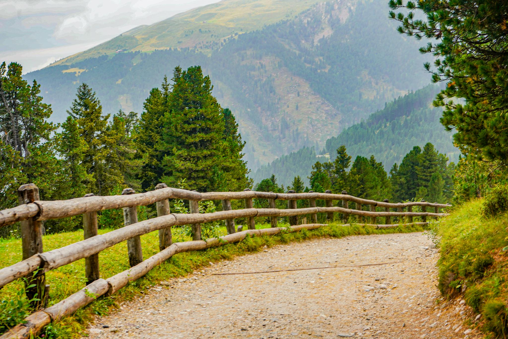 Dirt path along a wooden fence in the lush, mountainous landscape of Trentino-Alto Adige, Italy.